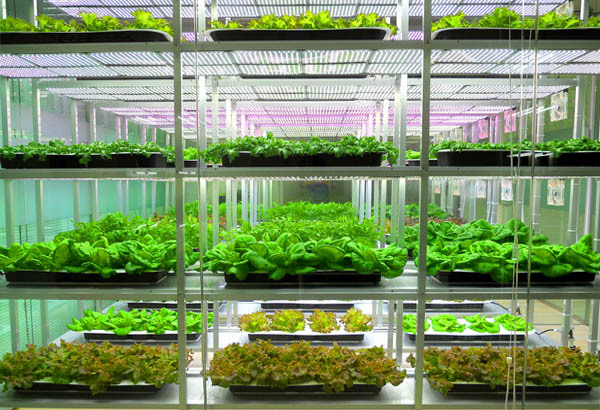 聚云位智攜手農業(yè)大學共建實驗室，智慧農業(yè)邁入新階段