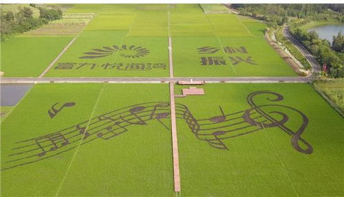 優(yōu)質特種稻產業(yè)振興示范園簽約揭牌儀式圓滿舉行